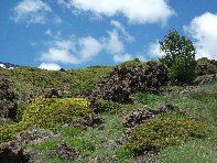 Torrente_Quarantore - 20100606 123.jpg